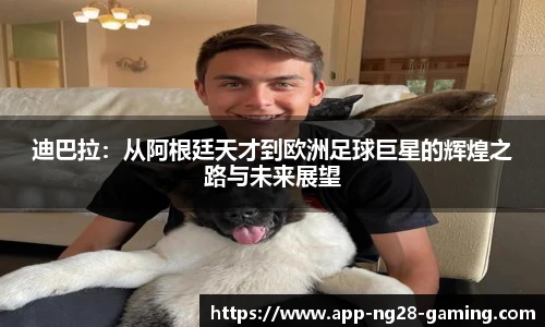 南宫NG28