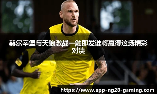 赫尔辛堡与天狼激战一触即发谁将赢得这场精彩对决